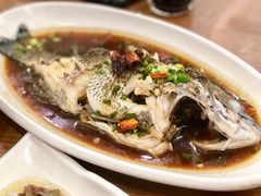 广式铜盆鱼-洲晓鲜·舟山海鲜大排档(朱家尖风景区店)