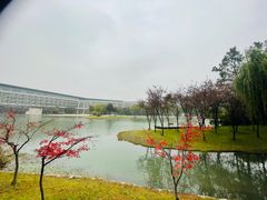 -上海佘山茂御臻品之选酒店(原佘山艾美酒店)