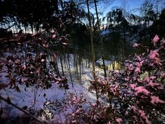 -江南天池高山汤泉城