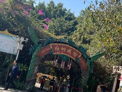 -瑞丽独树成林风景区