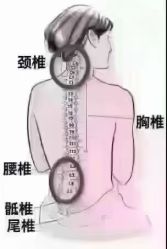-丽减美瘦吧·减肥瘦身