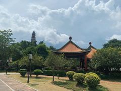 -顺峰山公园