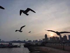 -星海广场