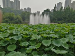 -龙头寺公园
