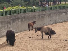 -西安秦岭野生动物园
