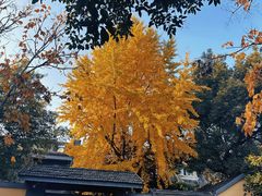 -颐和路民国时期公馆风貌区