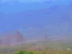 -白草畔自然风景区