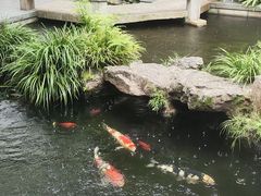 -乾园.魏庐湖景餐厅(花港店)