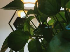 -蘇河湾·新鲁菜·泰山宴(宝龙店)