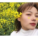 油菜花盛开地