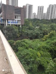 -郑荃丽格医疗美容