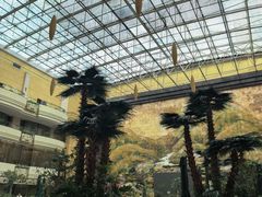 -威海铂丽斯国际大酒店(威海高铁站店)