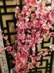 -苗医生草本科技祛痘