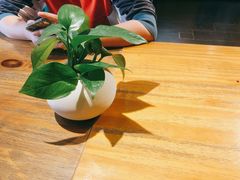 -八婆婆烧仙草(中山路店)