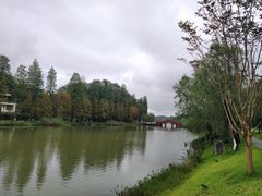 -常德桃花源景区