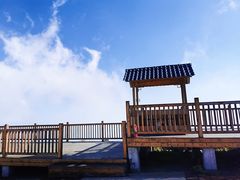 -白草畔自然风景区