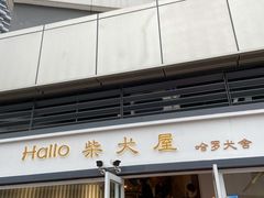 门面-南京Hallo宠物乐园·哈罗犬舍·柴犬繁育基地