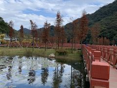-广州市石门国家森林公园