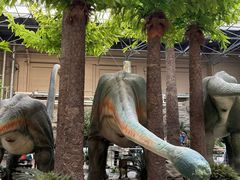 -国家自然博物馆