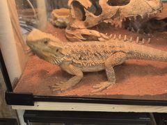 -Rabbit Cafe私房西餐甜点咖啡(栖霞路店)