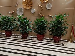 -聚春园自助餐厅(东街口店)