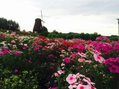 -北纬44度·金珠花海休闲农业旅游景区