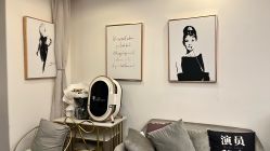 点击看大图 -演员的秘密·皮肤管理