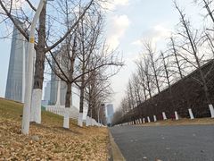 -南京眼步行桥