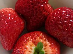 -刘胖子家常菜·蹄花焖藕(中央花园店)