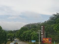 -广州白江湖森林公园