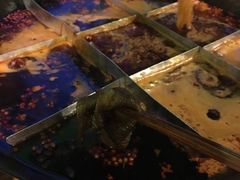 -岗上渣渣老火锅(两路口店)