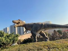 -陕西自然博物馆