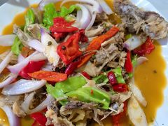 -煲来饱去冷水鱼