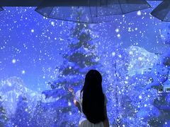 -海合安成都极地海洋公园