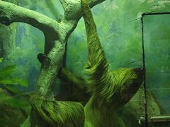 -福州罗源湾海洋世界旅游区