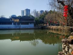-水绘园