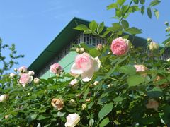 -杭州观成实验学校