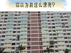 -彩虹村