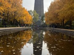 -玲珑塔公园