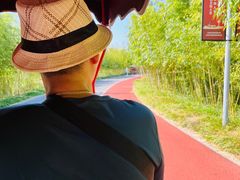 -上海长兴岛郊野公园