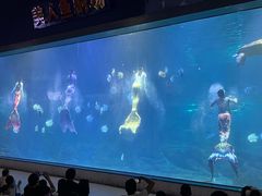 -福州罗源湾海洋世界旅游区