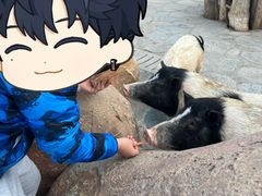 -郑州银基国际旅游度假区