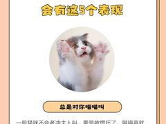 -佩兹宠物医院肿瘤专科·眼科·牙科(黄浦店)