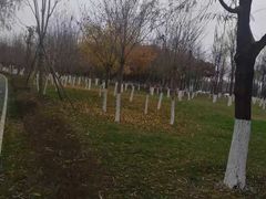 -洨河生态公园
