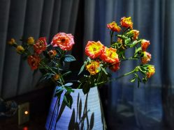 -琦品高端美容SPA私佳美场