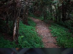 -东白山