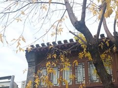 -后海公园