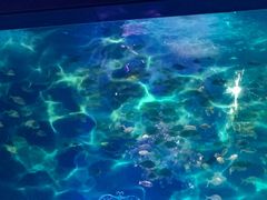-常州海昌海洋探索馆
