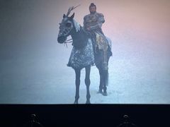 -星河寰宇IMAX影城(星河WORLD·COCO Park店)