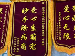 -瑞派名望志远动物医院·猫科·內科·异宠专科(直港大道店)